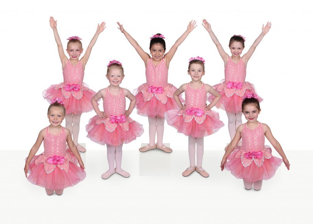 Classes We Offer – Allegro Dancer Website
